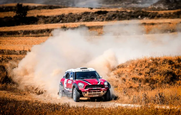 Красный, Mini, Пыль, Спорт, Скорость, Поворот, Гонка, Rally