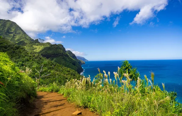 Горы, побережье, тропинка, Hawaii, Kauai, Гаваи, Na Pali Coast