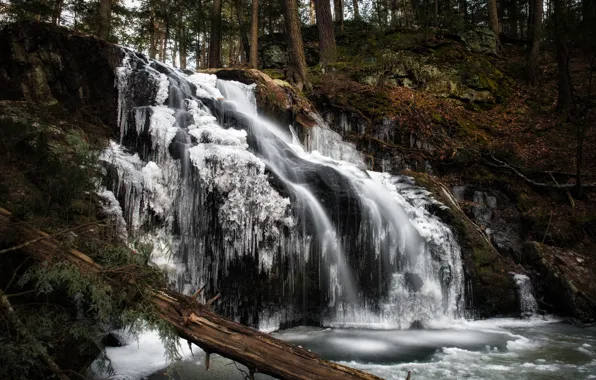 Зима, лес, водопад, лёд, Connecticut, Woodbury, Nonnewaug Falls