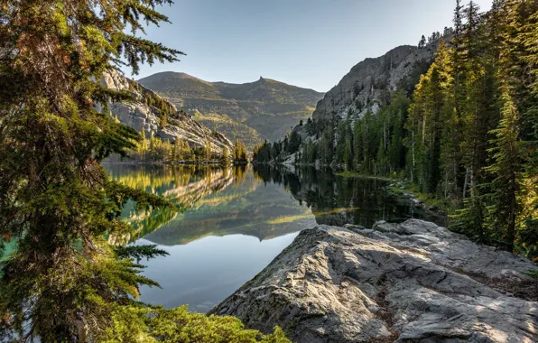 Картинка лес, горы, озеро, отражение, камень, Калифорния, California, Сьерра-Невада