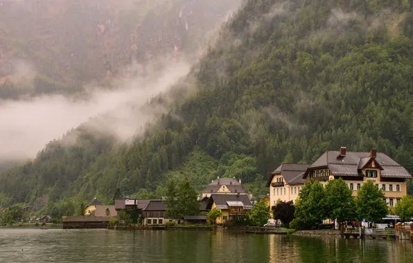 Картинка лес, горы, город, туман, Австрия, Hallstatt