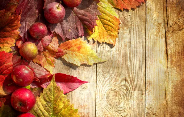 Картинка осень, green, яблоки, доски, зеленые, красные, red, листики