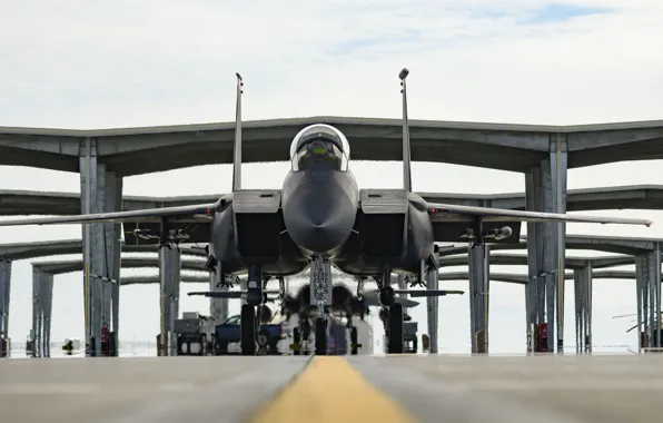 ВВС США, истребитель-бомбардировщик, американский двухместный, McDonnell Douglas F-15E Strike Eagle