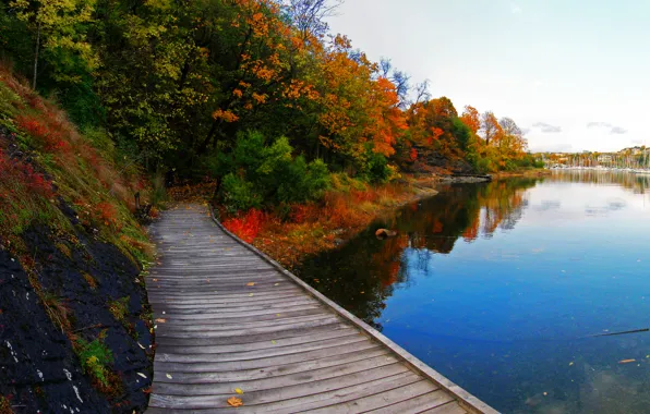 Картинка осень, деревья, природа, озеро, дорожка, Nature, мостик, trees