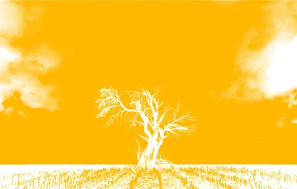 Tree, creative, my world
