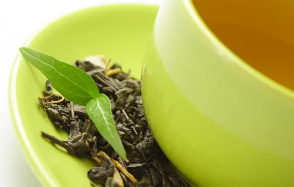 Картинка чай, листок, растение, чашка