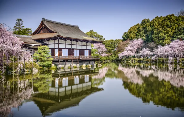 Деревья, озеро, пруд, парк, отражение, весна, Япония, сакура