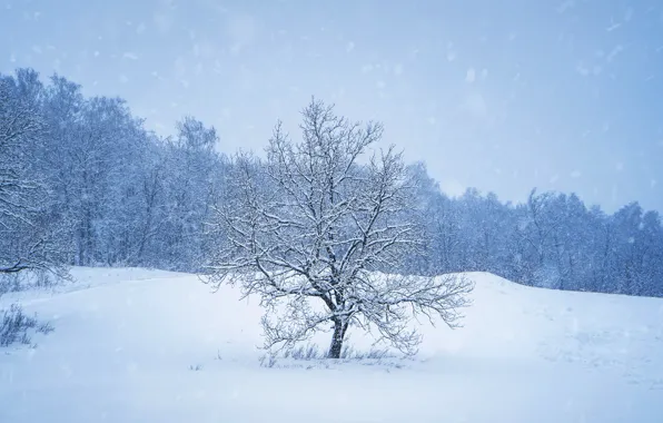 Зима, природа, снегопад, башкирия
