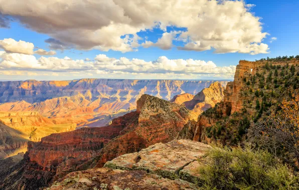 Картинка Аризона, США, Arizona, Grand Canyon National Park, Coconino