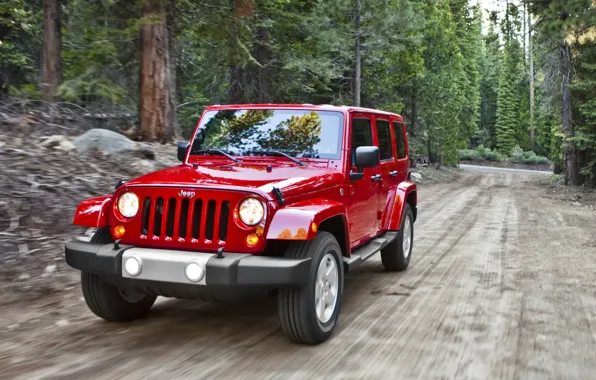 Дорога, деревья, красный, внедорожник, Джип, Sahara, передок, Wrangler