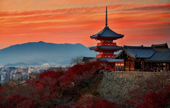 Осень, Япония, храм, Киото