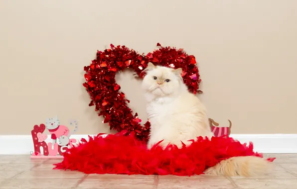 Кошка, белый, кот, любовь, стена, плитка, игрушка, сердце