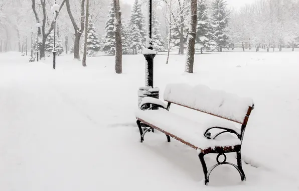 Картинка зима, снег, деревья, скамейка, природа, парк, лавочка, фонари