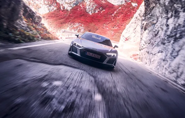 Audi R8, Supercar, Silver