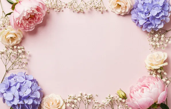 Цветы, рамка, colorful, pink, flowers, frame, floral