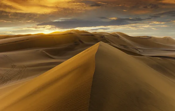 Desert, sunset, sand