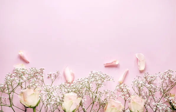 Картинка цветы, розы, лепестки, розовые, розовый фон, pink, flowers, beautiful