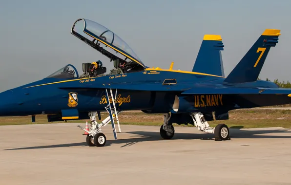 Картинка самолет, истребитель, usa, blue angel, u.s.navy