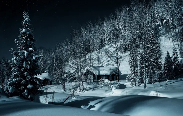 Картинка зима, лес, снег, деревья, деревня, сугробы, домики, Россия