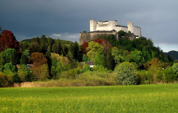 Картинка осень, деревья, башня, гора, Австрия, крепость, Зальцбург, Hohensalzburg
