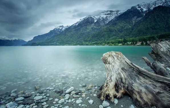 Картинка лес, горы, озеро, Швейцария