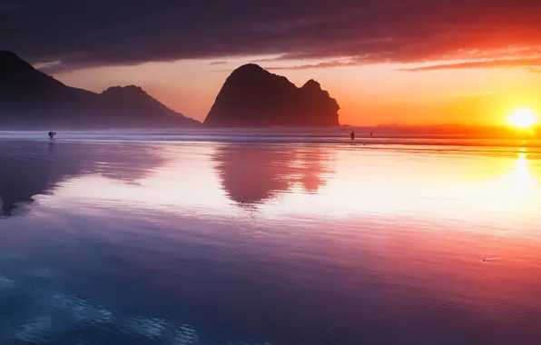 Beach, sky, sea, landscape, New Zealand, Auckland, nature, sunset