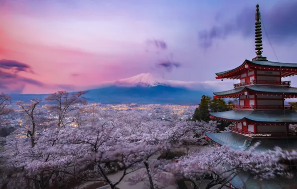 Картинка Japan, Chureito Pagoda, Purple bloom