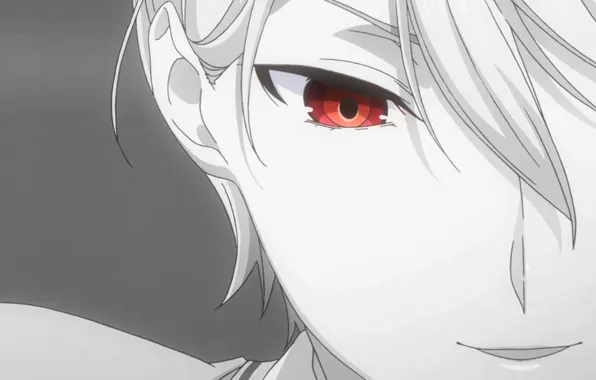 Alice, Черно-белое, Shokugeki no Souma, Nakiri, Shokugeki no Souma: Ni no Sara, NakiriAlice