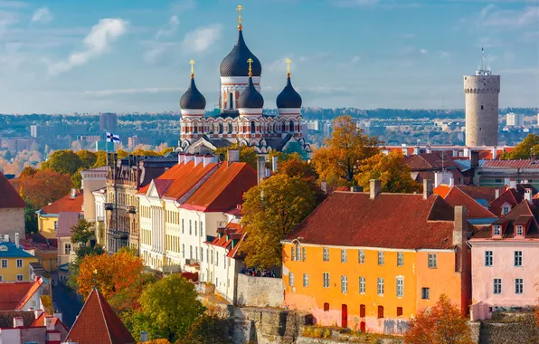 Картинка wall, tower, view, top, town, urban, travel, toompea