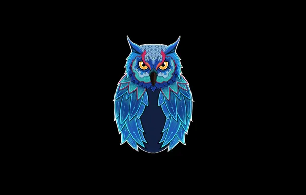 Минимализм, Взгляд, Сова, Птица, Стиль, Style, Owl, Bird