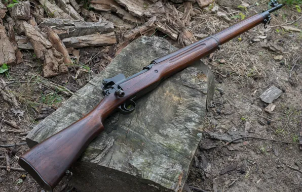 Винтовка, Remington, 1917