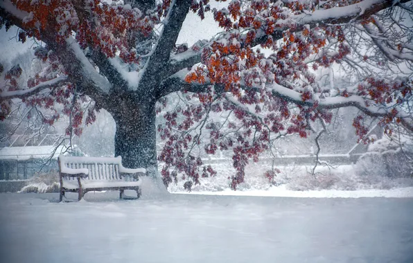 Картинка зима, улица, снегопад, скамья