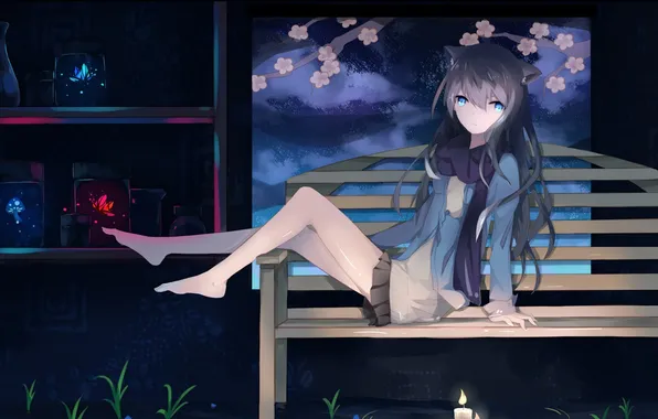 Картинка девушка, цветы, скамейка, огонь, свечи, аниме, сакура, арт