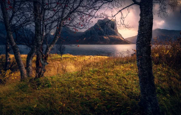 Картинка осень, вода, деревья, пейзаж, горы, тучи, природа, Норвегия