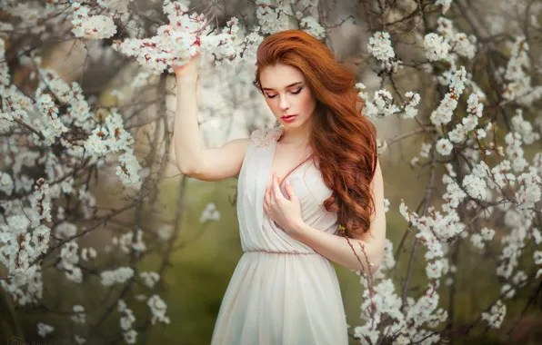 Картинка девушка, ветки, дерево, настроение, волосы, весна, руки, сад