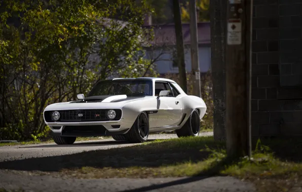 Chevrolet, 1969, Camaro, White, Chevrolet Camaro, Road, SEMA, Trees