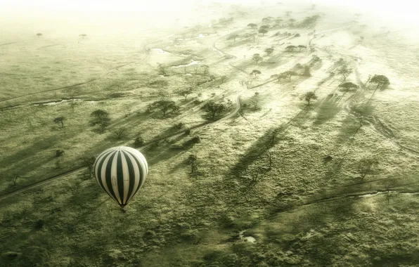 Картинка flight, Balloon, Serengeti