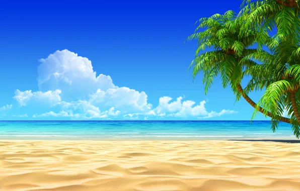 Картинка пляж, тропики, океан, экзотика