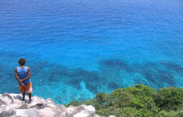 Море, скалы, птица, берег, человек, nature, Aride Aride Island