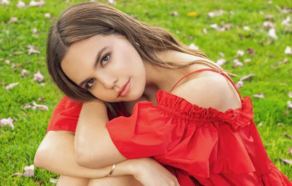 Взгляд, девушка, волосы, платье, красивая, Bailee Madison