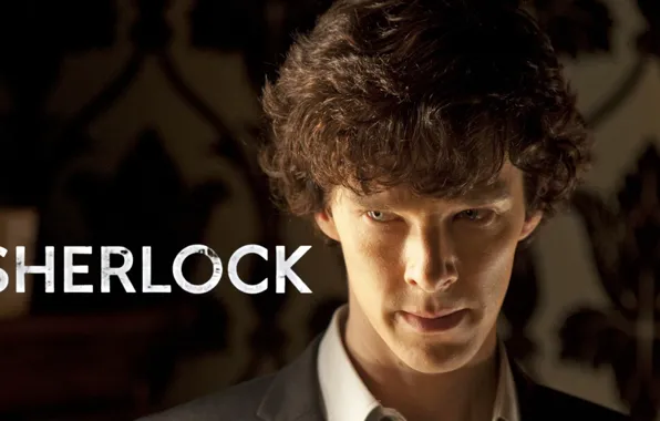 Фон, портрет, Бенедикт Камбербэтч, Benedict Cumberbatch, Sherlock, Sherlock BBC, Sherlock Holmes, Sherlock (сериал)