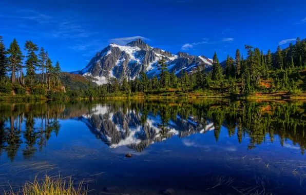 Картинка деревья, горы, озеро, отражение