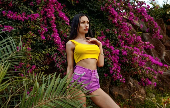 Girl, sexy, shorts, beautiful, model, brunette