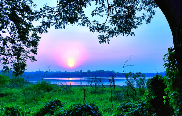 Sun, Water, Sunrise, Dawn, Morning, Lake, Trees, Reflection