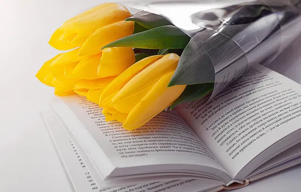 Желтые, тюльпаны, книга