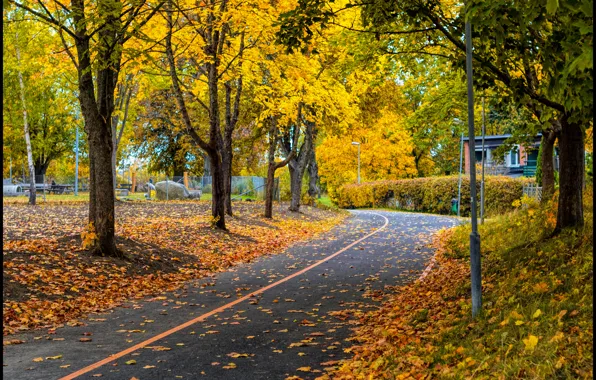 Осень, парк, листва, дорожка, листопад, park, Autumn, leaves