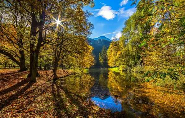 Картинка осень, лес, солнце, речка, Autumn Sun