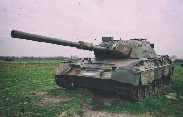 Картинка поле, танк, ствол, Leopard 1 A6