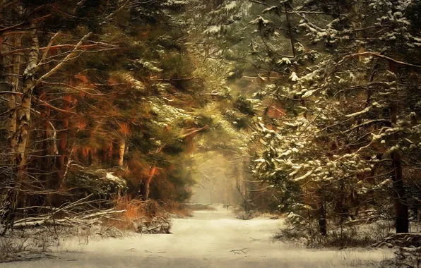 Картинка зима, дорога, лес, digital painting