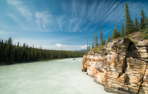 Картинка лес, скала, река, Канада, Альберта, Alberta, Canada, Bow River